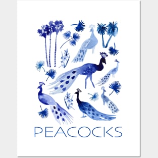 Peacocks Posters and Art